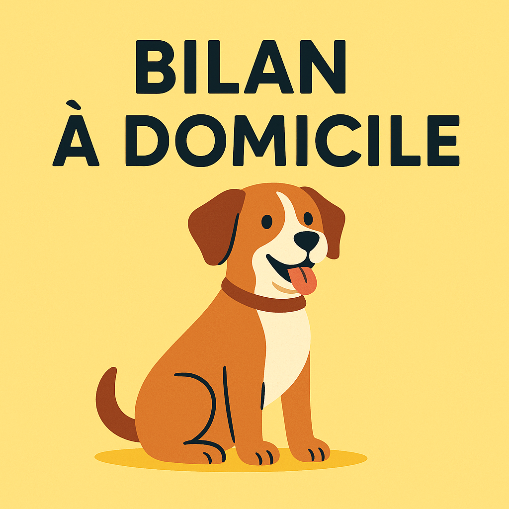 Bilan